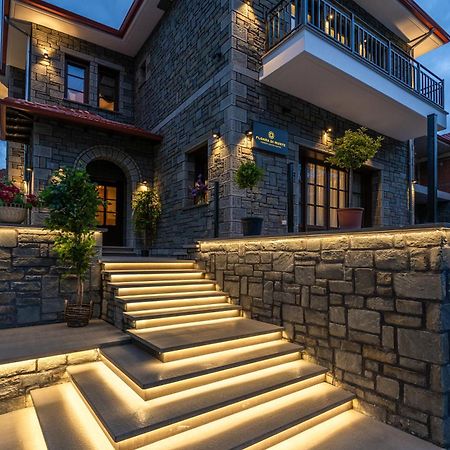 Floara Di Munte Forest Luxury Suites Metsovo Exterior foto