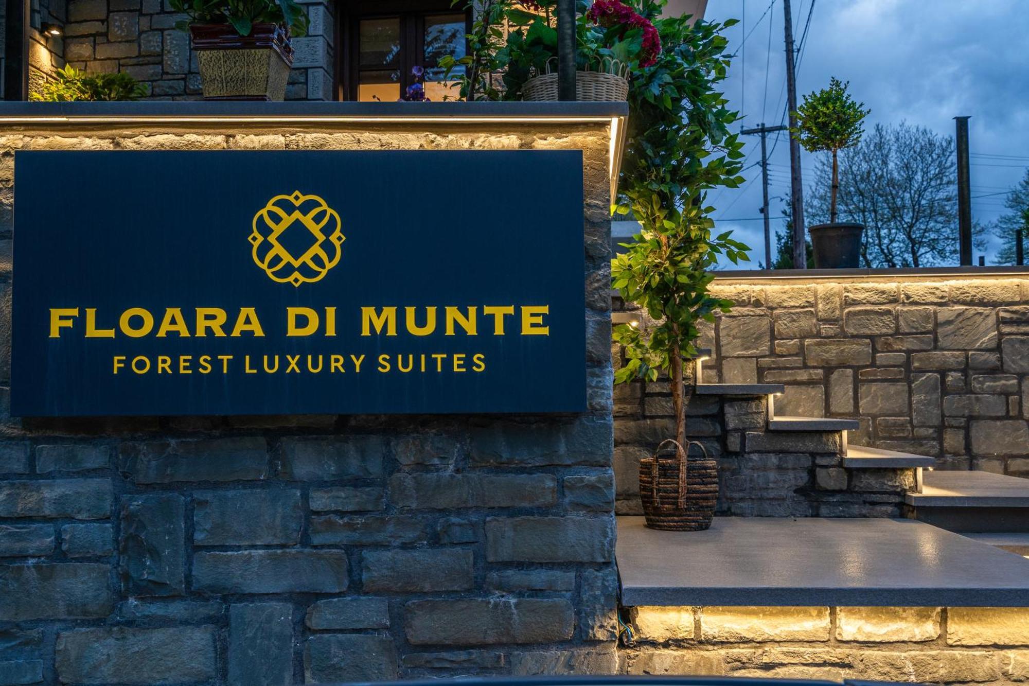 Floara Di Munte Forest Luxury Suites Metsovo Exterior foto